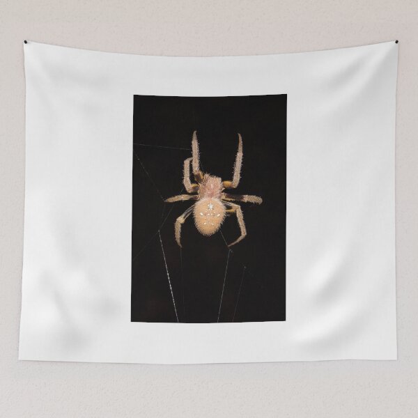 Item preview, Araña tejedora de orbes en la selva peruana designed and sold by Erik Schlogl.