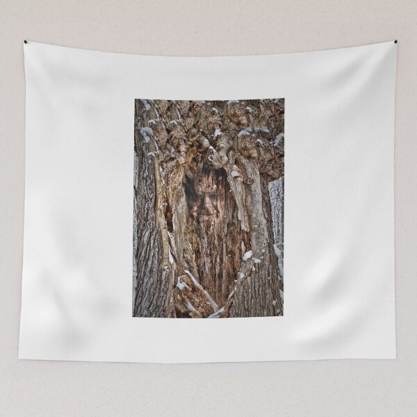 Item preview, Old Man Tree designed and sold by Kathy Weaver.