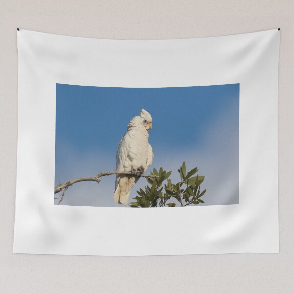 Item preview, Corella Return designed and sold by byronbackyard.