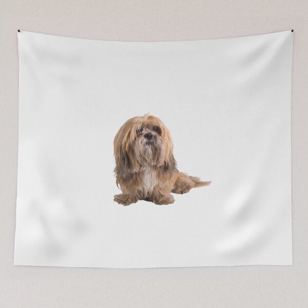 Item preview, lasa Lhaso designed and sold by tuneoperator.