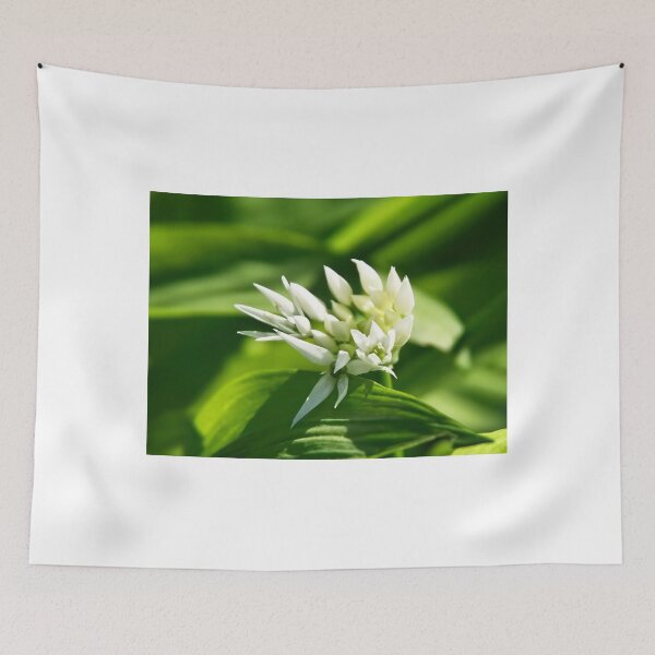 Item preview, Wild Garlic - Allium ursinum designed and sold by Dorset Girl.