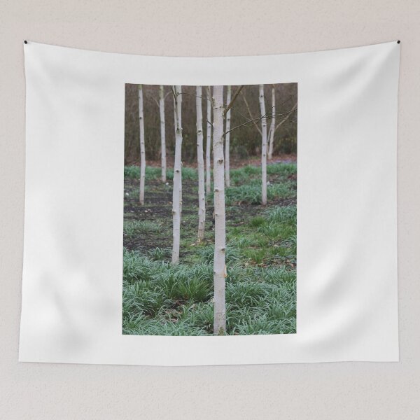 Item preview, Silver birch trees designed and sold by Jonesyinc.