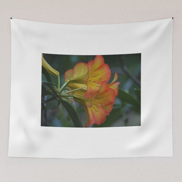 Item preview, Rhododendron in Autumn designed and sold by RGKphotos.