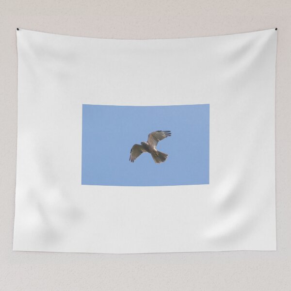 Item preview, The Elusive Hawk designed and sold by byronbackyard.