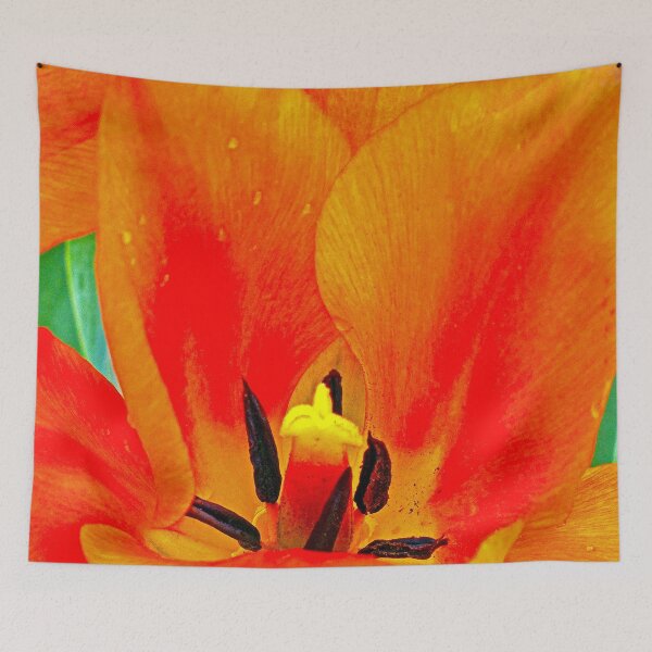 Item preview, Orange Tulip designed and sold by Frankie Cat Photography.