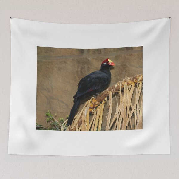Item preview, Nesting material designed and sold by ToopidTease.