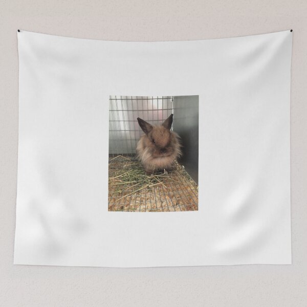 Item preview, Fluffy bunny designed and sold by hitomimyhomie.