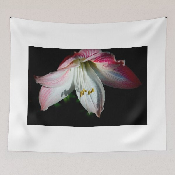 Item preview, Spring Morning designed and sold by designingjudy.