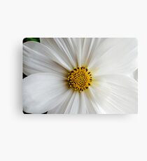 Flora macro Metal Print
