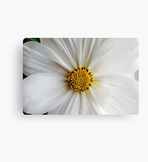 Flora macro Canvas Print