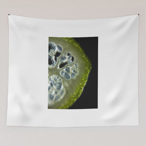 Item preview, Bitter Slice  designed and sold by rachelcphotoart.