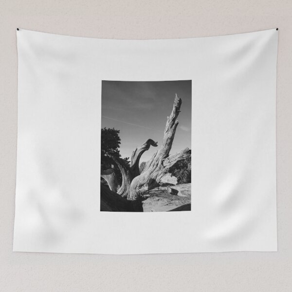Item preview, Rustic Landscape- Colorado National Monument designed and sold by rwhitney22.