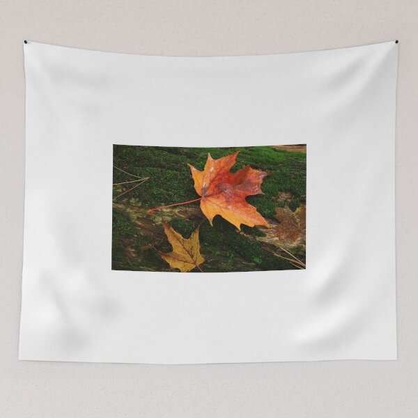 Item preview, The Colors of Autumn designed and sold by rwhitney22.