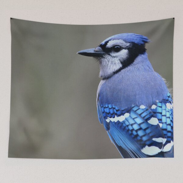 Item preview, Bluejay designed and sold by Enola Gay Wagner.