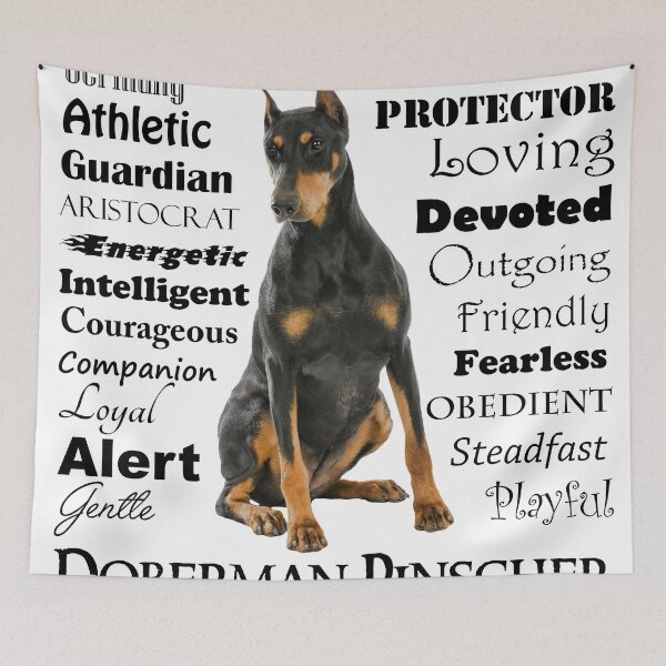 Item preview, Black and Tan Doberman Traits designed and sold by DogLove.