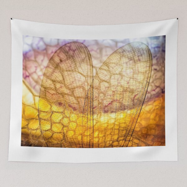 Item preview, Before the Nightingale Sings designed and sold by Kenneth Haley.
