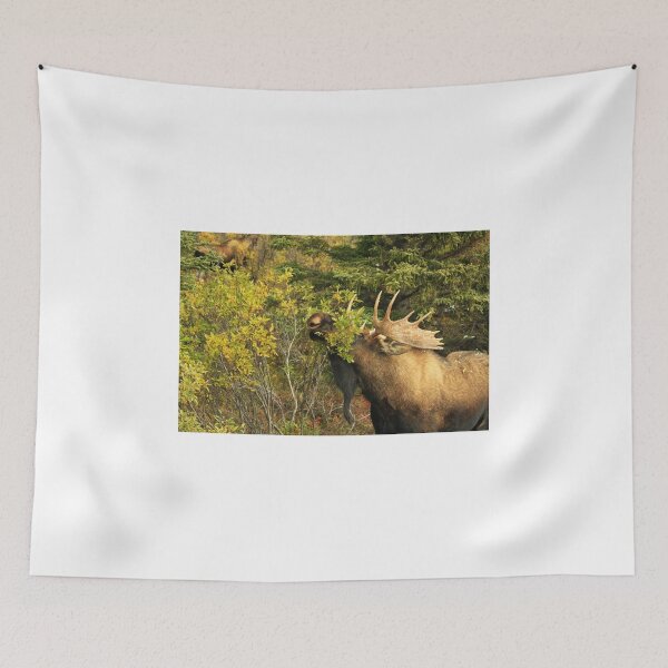 Item preview, Alaskan Moose designed and sold by rwhitney22.