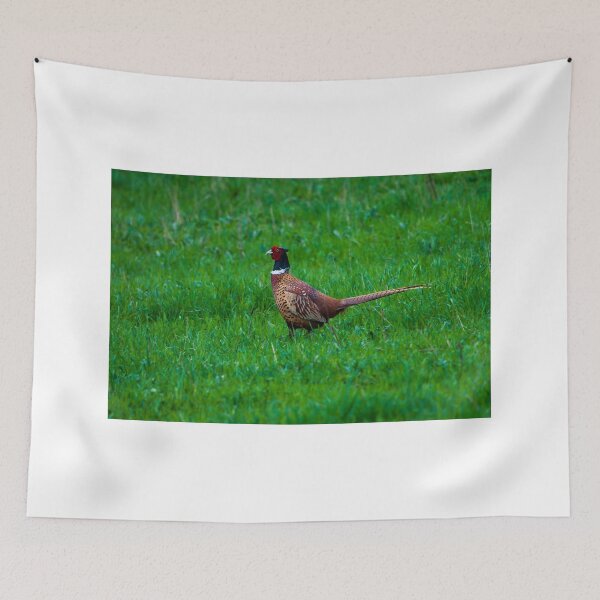Item preview, pheasant 2 designed and sold by Wizi-Top.