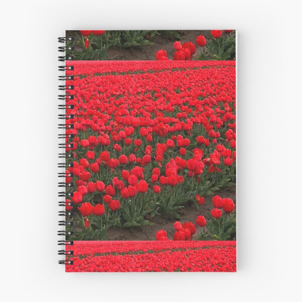 Item preview, Red tulip fields  designed and sold by Beau Gordon.