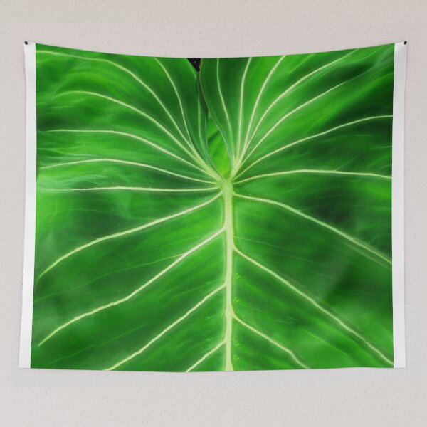 Item preview, Veins and Leaf designed and sold by Kathy Weaver.