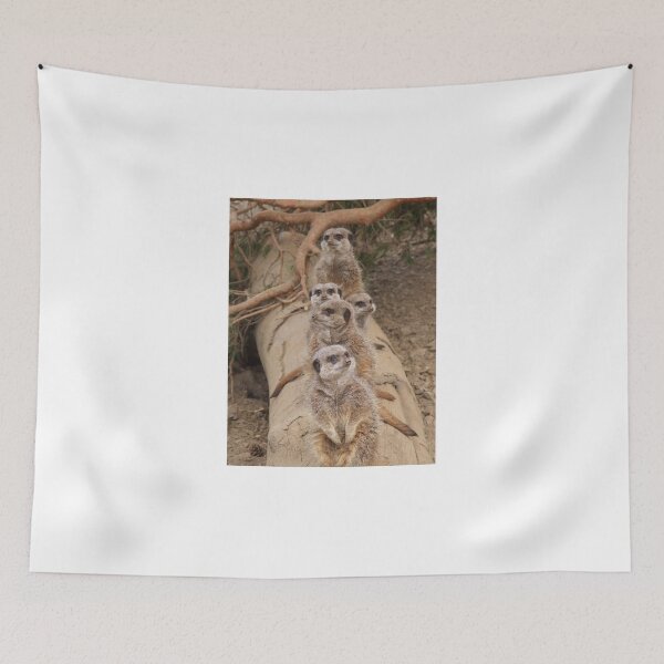 Item preview, How many meerkats can you fit on a log? designed and sold by wenniewombat.