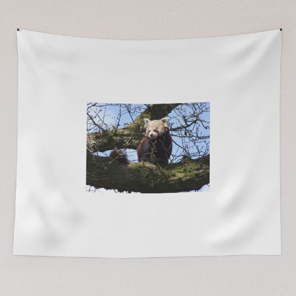 Item preview, Hiding! Can you see me? designed and sold by wenniewombat.