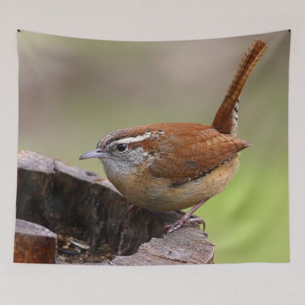 Item preview, Carolina Wren designed and sold by Enola Gay Wagner.