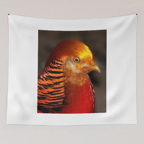 Item preview, Trump - it designed and sold by ToopidTease.