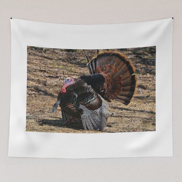 Item preview, Turkey Trot designed and sold by Lanis Rossi.
