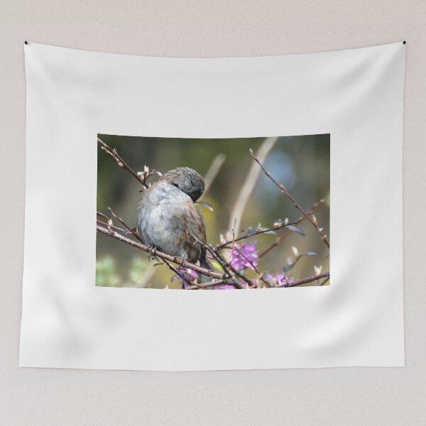 Item preview, Shy Little Bird.............Dorset UK designed and sold by lynn carter.