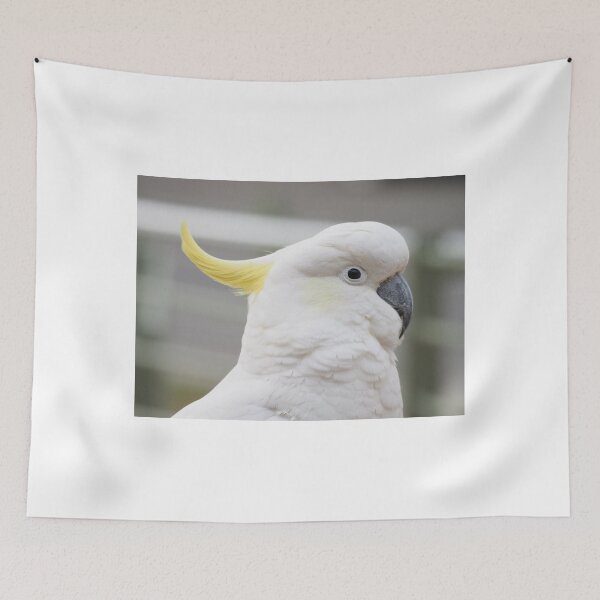Item preview, Hello Cocky! designed and sold by KimHSinclair.