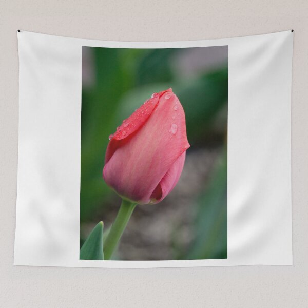 Item preview, Raindrops on a Red Tulip designed and sold by Robert Kelch, M.D..