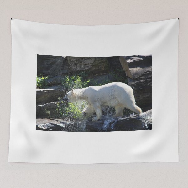 Item preview, Polar bear water print designed and sold by KirstyGeee.