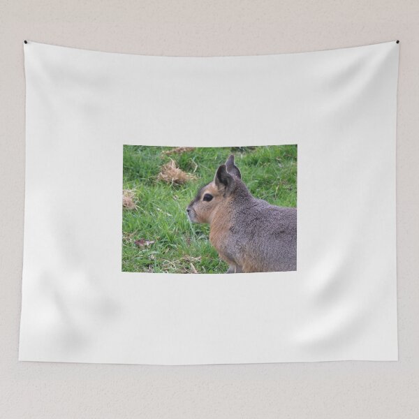 Item preview, I'm thinking! designed and sold by wenniewombat.