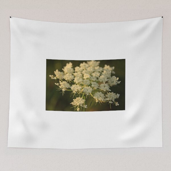 Item preview, Queen Anne's Lace Flower designed and sold by Heather Miletich.