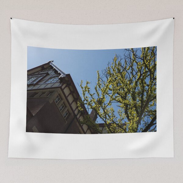 Item preview, Amsterdam Spring - Characteristic Facade Plus Unusual Tree - Right designed and sold by Georgia Mizuleva.