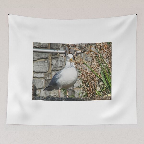 Item preview, Nest Building Time designed and sold by Dorset Girl.