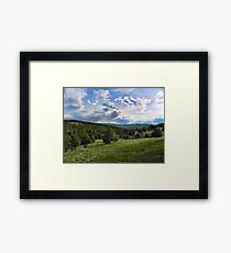 Mountain Meadow Framed Print
