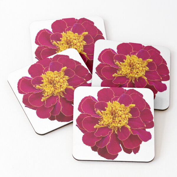 Item preview, Red Marigold on a transparent background designed and sold by ellenhenry.