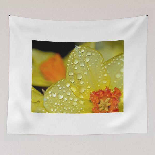 Item preview, Daffodil Raindrops designed and sold by mvladd.