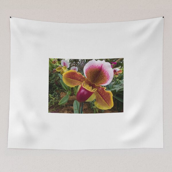 Item preview, Ladyslipper Orchid Flower designed and sold by Ram Vasudev.