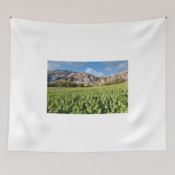 Item preview, Meadow of False Hellebore at Ice Lakes Basin designed and sold by Jeff Goulden Photography.