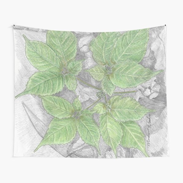 Ginseng in May Tapestry