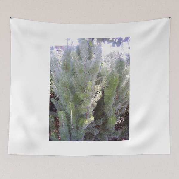 Item preview, Woolly Bush (Adenanthos sericeus) designed and sold by lezvee.