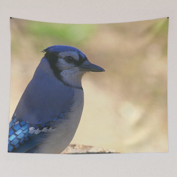Item preview, Bluejay designed and sold by Enola Gay Wagner.