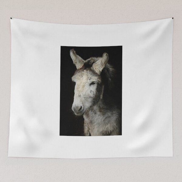 Item preview, Little Donkey designed and sold by Ladymoose.