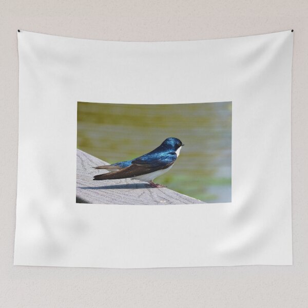 Item preview, Terrance The Tree Swallow  designed and sold by Lanis Rossi.