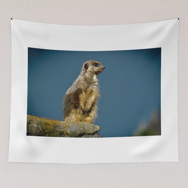 Item preview, Meerkat Lookout designed and sold by mvladd.