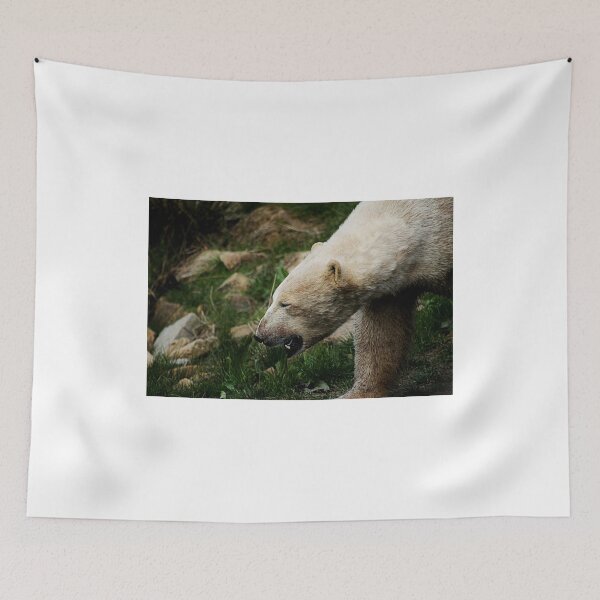 Item preview, A Polar Bear Smile designed and sold by Ladymoose.