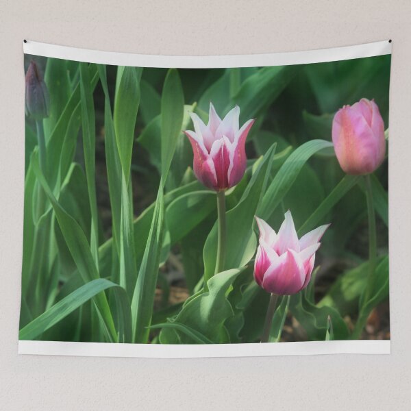 Item preview, Star Performers designed and sold by Claude Johnson.